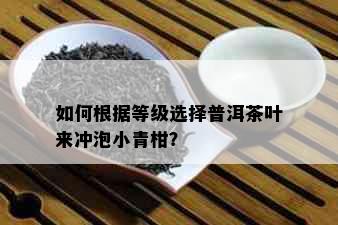 如何根据等级选择普洱茶叶来冲泡小青柑？