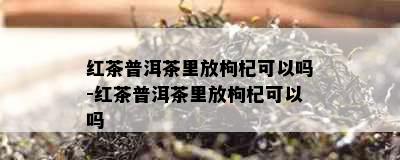 红茶普洱茶里放枸杞可以吗-红茶普洱茶里放枸杞可以吗