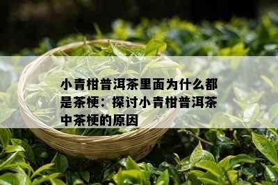 小青柑普洱茶里面为什么都是茶梗：探讨小青柑普洱茶中茶梗的原因