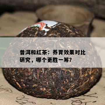 普洱和红茶：养胃效果对比研究，哪个更胜一筹？