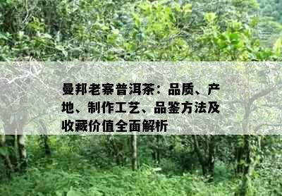 曼邦老寨普洱茶：品质、产地、制作工艺、品鉴方法及收藏价值全面解析