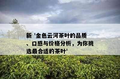 新 '金色云河茶叶的品质、口感与价格分析，为你挑选最合适的茶叶'