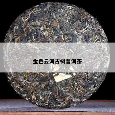 金色云河古树普洱茶