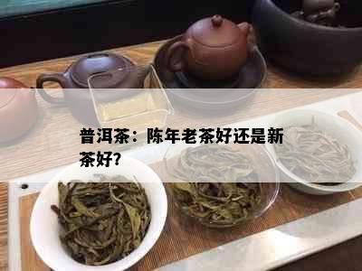 普洱茶：陈年老茶好还是新茶好？