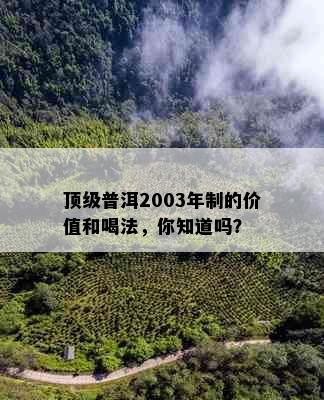 顶级普洱2003年制的价值和喝法，你知道吗？