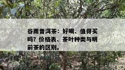 谷雨普洱茶：好喝、值得买吗？价格表、茶叶种类与明前茶的区别。