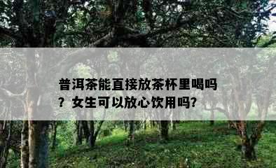 普洱茶能直接放茶杯里喝吗？女生可以放心饮用吗？