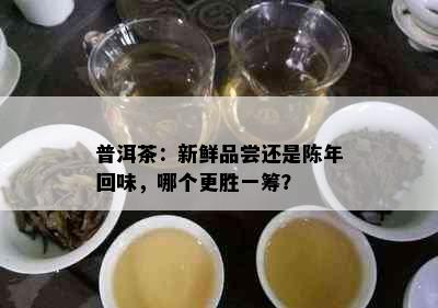 普洱茶：新鲜品尝还是陈年回味，哪个更胜一筹？