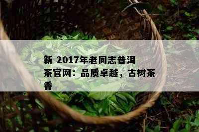 新 2017年老同志普洱茶官网：品质卓越，古树茶香