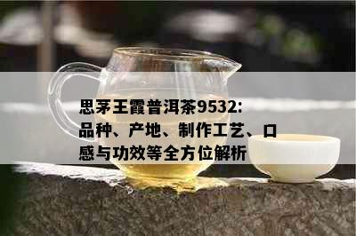 思茅王霞普洱茶9532:品种、产地、制作工艺、口感与功效等全方位解析