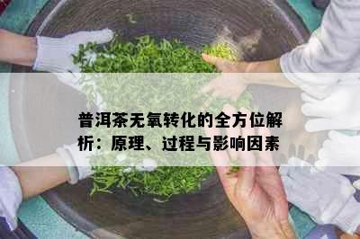 普洱茶无氧转化的全方位解析：原理、过程与影响因素