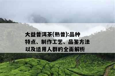 大益普洱茶(熟普):品种特点、制作工艺、品鉴方法以及适用人群的全面解析