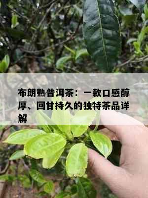 布朗熟普洱茶：一款口感醇厚、回甘持久的独特茶品详解