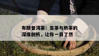 布朗普洱茶：生茶与熟茶的深度剖析，让你一目了然