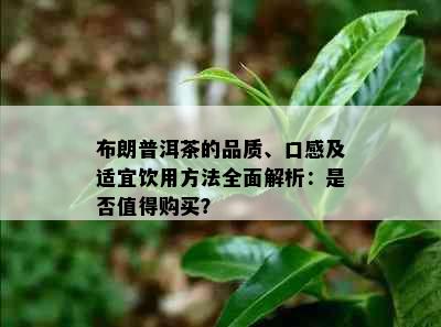 布朗普洱茶的品质、口感及适宜饮用方法全面解析：是否值得购买？