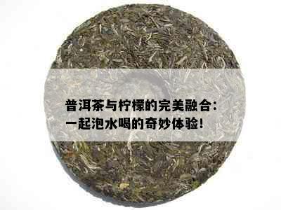 普洱茶与柠檬的完美融合：一起泡水喝的奇妙体验！