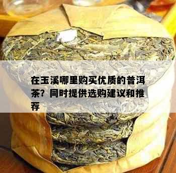 在玉溪哪里购买优质的普洱茶？同时提供选购建议和推荐