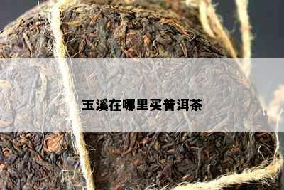 玉溪在哪里买普洱茶