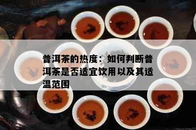 普洱茶的热度：如何判断普洱茶是否适宜饮用以及其适温范围