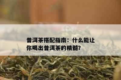 普洱茶搭配指南：什么能让你喝出普洱茶的精髓？