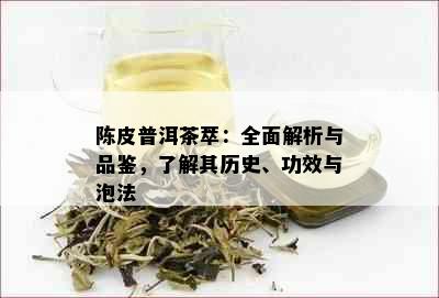 陈皮普洱茶萃：全面解析与品鉴，了解其历史、功效与泡法