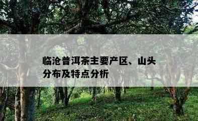 临沧普洱茶主要产区、山头分布及特点分析