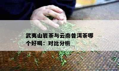 武夷山岩茶与云南普洱茶哪个好喝：对比分析