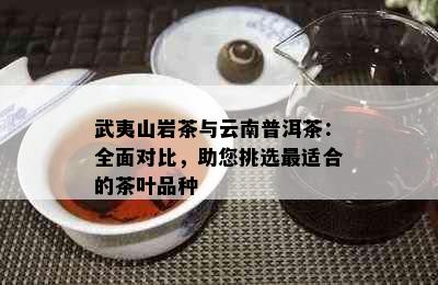 武夷山岩茶与云南普洱茶：全面对比，助您挑选最适合的茶叶品种