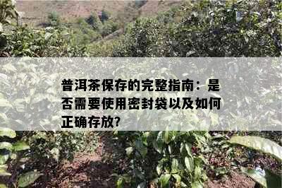 普洱茶保存的完整指南：是否需要使用密封袋以及如何正确存放？