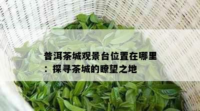 普洱茶城观景台位置在哪里：探寻茶城的瞭望之地