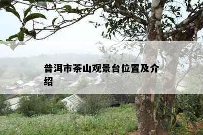 普洱市茶山观景台位置及介绍