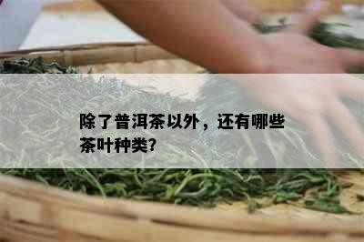 除了普洱茶以外，还有哪些茶叶种类？