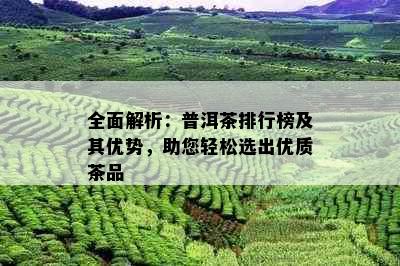 全面解析：普洱茶排行榜及其优势，助您轻松选出优质茶品