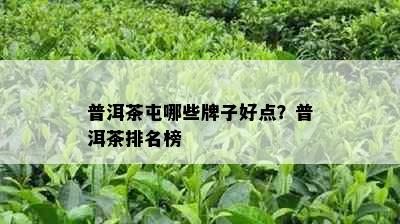 普洱茶屯哪些牌子好点？普洱茶排名榜