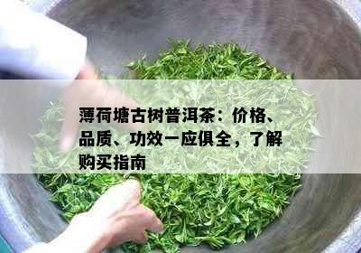 薄荷塘古树普洱茶：价格、品质、功效一应俱全，了解购买指南