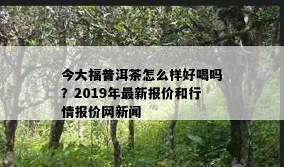 今大福普洱茶怎么样好喝吗？2019年最新报价和行情报价网新闻