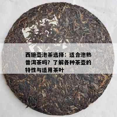 西施壶泡茶选择：适合泡熟普洱茶吗？了解各种茶壶的特性与适用茶叶