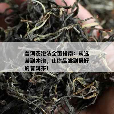 普洱茶泡法全面指南：从选茶到冲泡，让你品尝到更好的普洱茶！