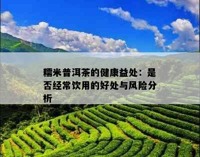 糯米普洱茶的健康益处：是否经常饮用的好处与风险分析