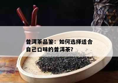 普洱茶品鉴：如何选择适合自己口味的普洱茶？