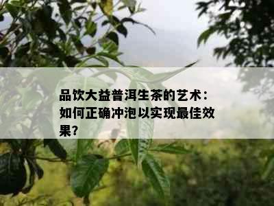 品饮大益普洱生茶的艺术：如何正确冲泡以实现更佳效果？