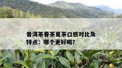 普洱茶春茶夏茶口感对比及特点：哪个更好喝？