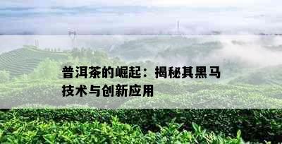 普洱茶的崛起：揭秘其黑马技术与创新应用