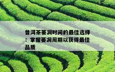 普洱茶萎凋时间的更佳选择：掌握萎凋周期以获得更佳品质