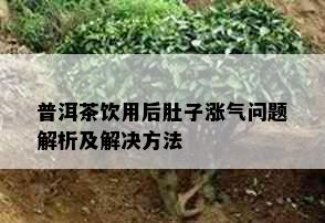 普洱茶饮用后肚子涨气问题解析及解决方法