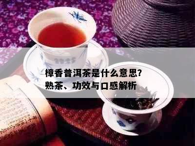 樟香普洱茶是什么意思？ 熟茶、功效与口感解析