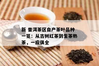 新 普洱茶区自产茶叶品种一览：从古树红茶到生茶熟茶，一应俱全