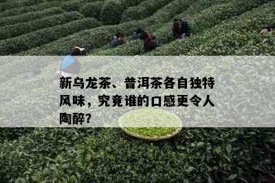 新乌龙茶、普洱茶各自独特风味，究竟谁的口感更令人陶醉？