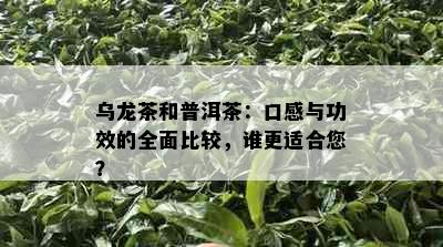 乌龙茶和普洱茶：口感与功效的全面比较，谁更适合您？