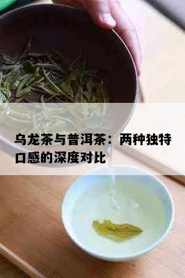 乌龙茶与普洱茶：两种独特口感的深度对比